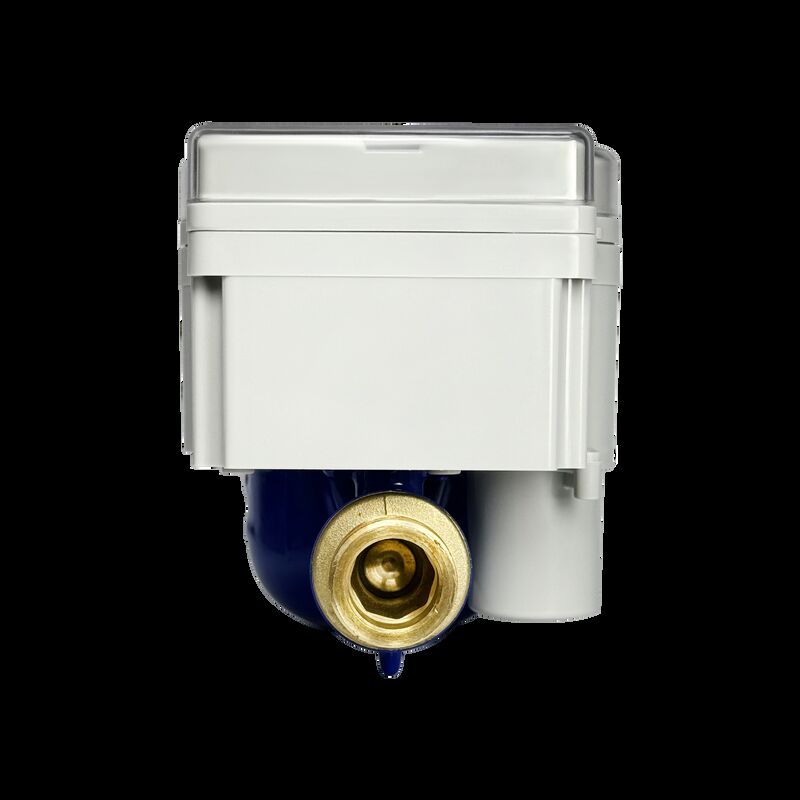 Smart Prepaid STS Water Meter Series ODM/ OEM Dostosowalny Przejrzysty Wyświetlacz Mechaniczny Reble Brass Water