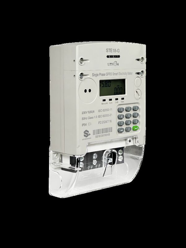 Smart Single Meter Smart Prepaid Electricity Meter with Keypad Input Way and IP54 Ingress Protection Providing Consumption Data