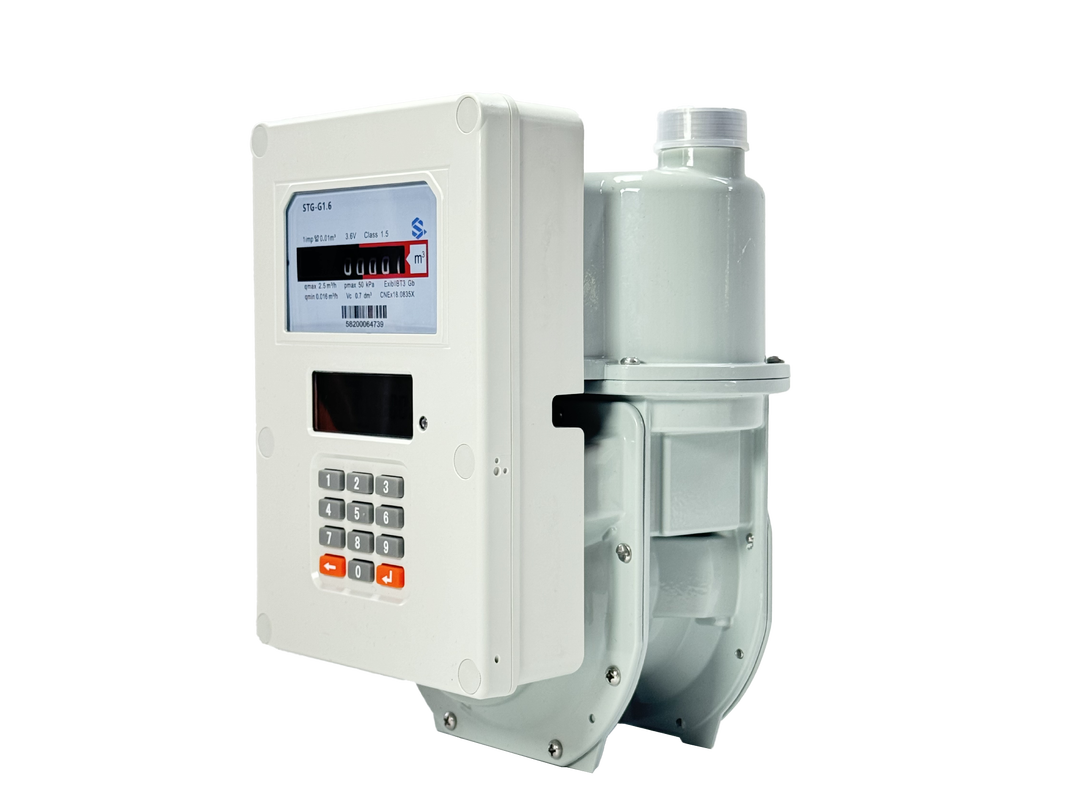 Smart Gas Meter digital meter providing continuous gas flow monitoring and integration with enterprise resource systems